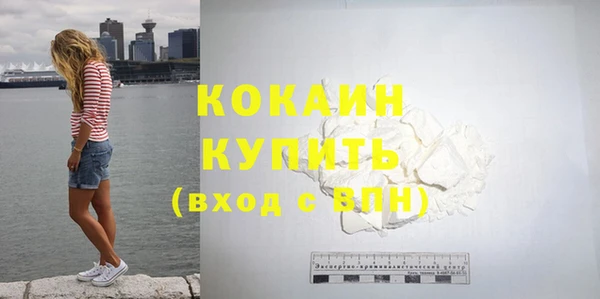 прущие грибы Сатка