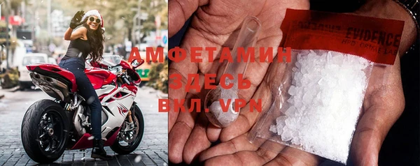 прущие грибы Семилуки