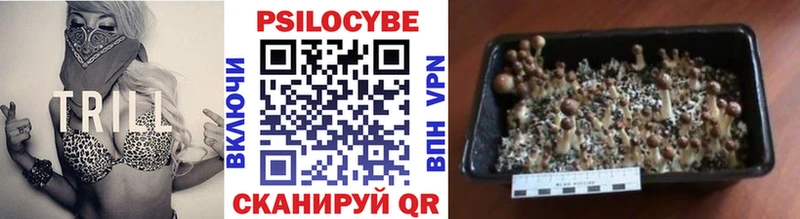 Псилоцибиновые грибы Psilocybine cubensis  Купить закладки  Новороссийск 