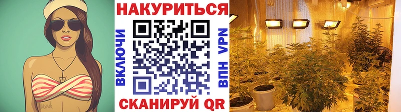 Марихуана Bruce Banner  Купить закладки  Новороссийск 